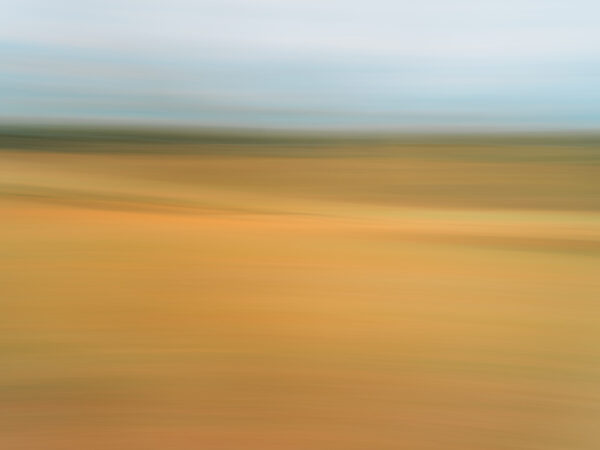  - Image 6 of 7