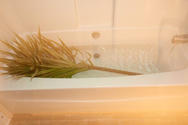  - Image 6 of 8