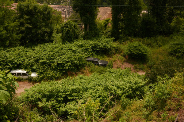  - Image 8 of 8