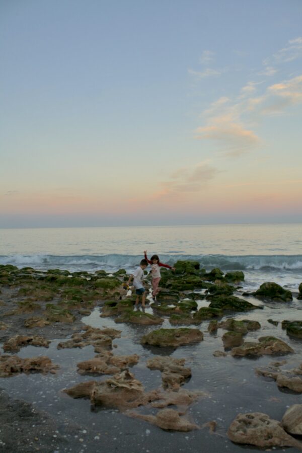  - Image 2 of 7