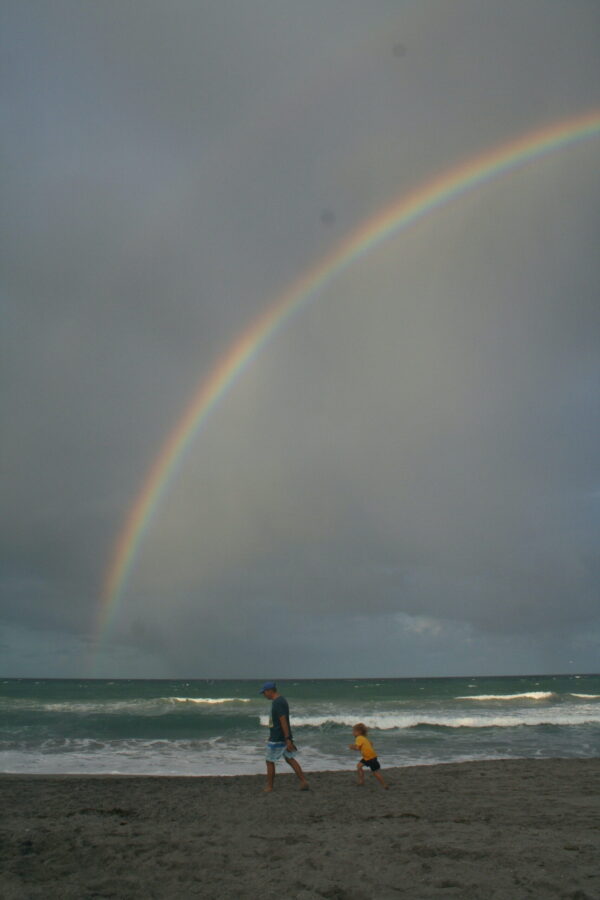  - Image 4 of 7