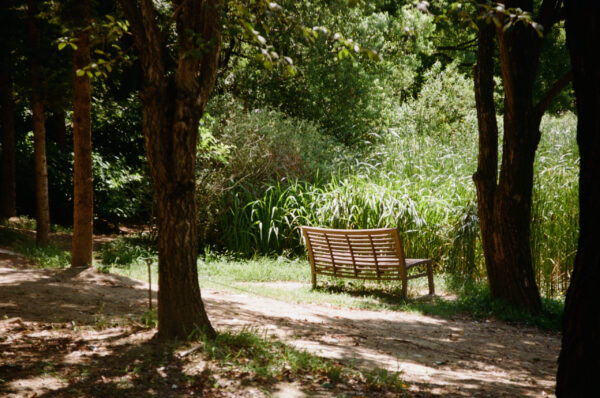  - Image 5 of 7