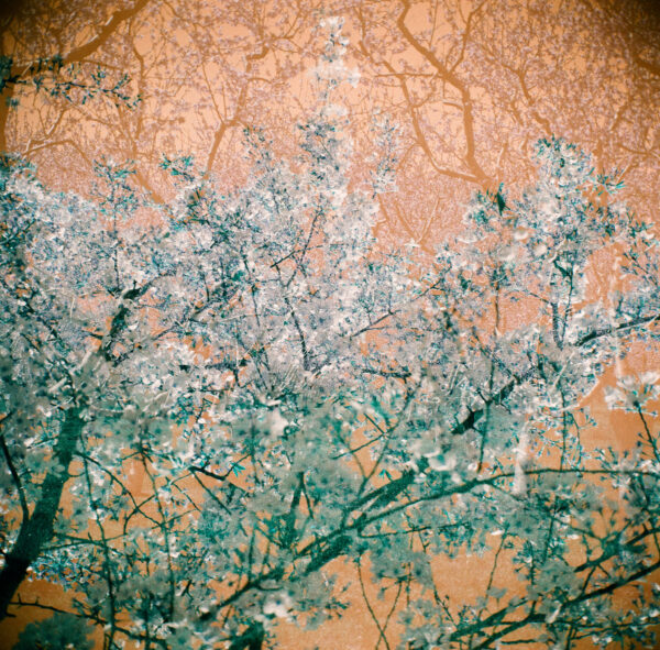  - Image 2 of 7