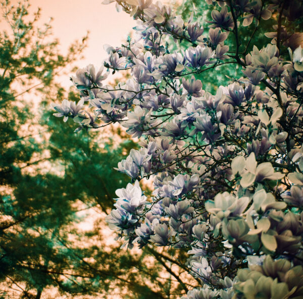  - Image 3 of 7