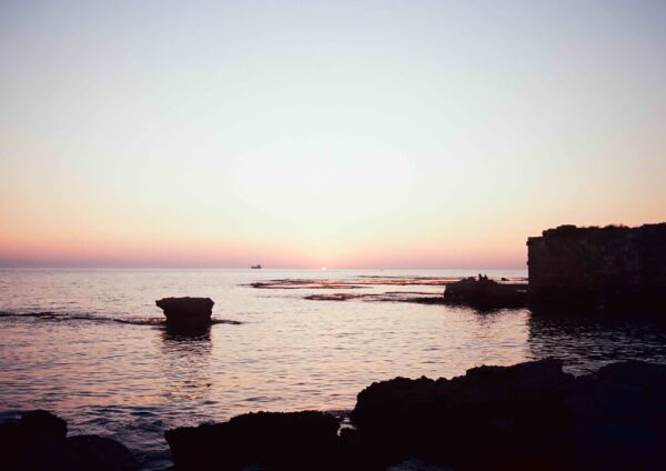  - Image 6 of 8