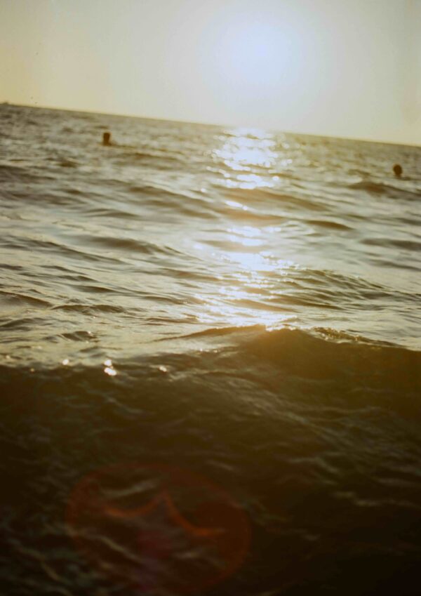  - Image 4 of 8