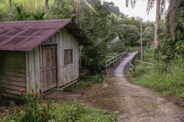  - Image 1 of 8