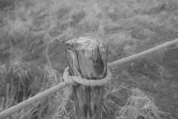  - Image 2 of 8