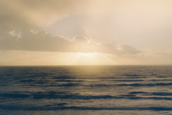  - Image 8 of 8