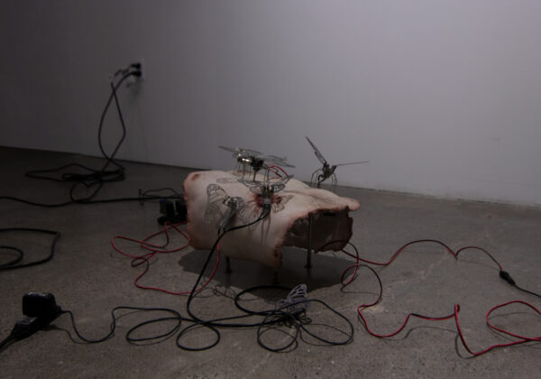 - Image 7 of 8
