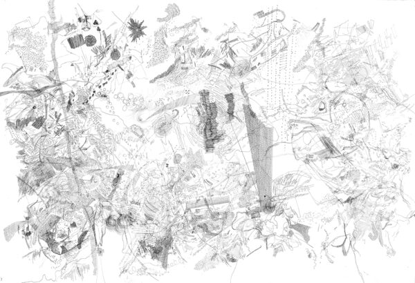  - Image 2 of 8