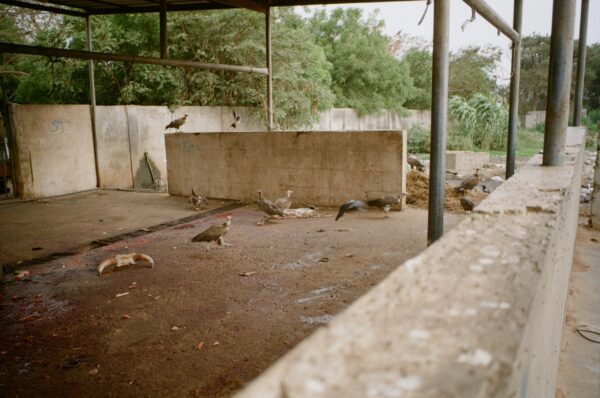  - Image 4 of 8