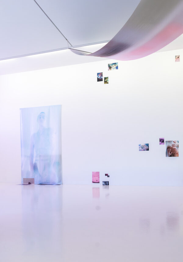 - Image 8 of 8