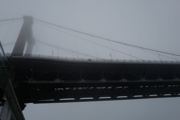  - Image 3 of 8
