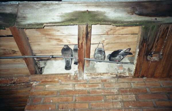  - Image 6 of 8