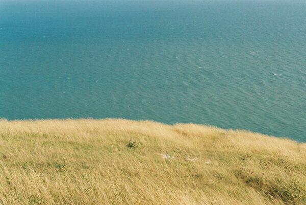  - Image 5 of 8