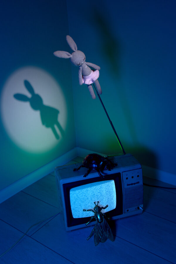  - Image 5 of 7