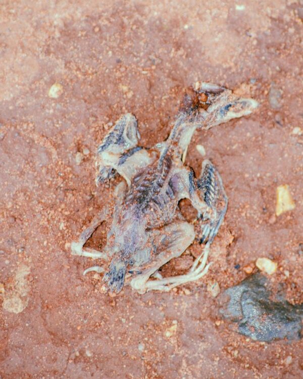  - Image 6 of 8