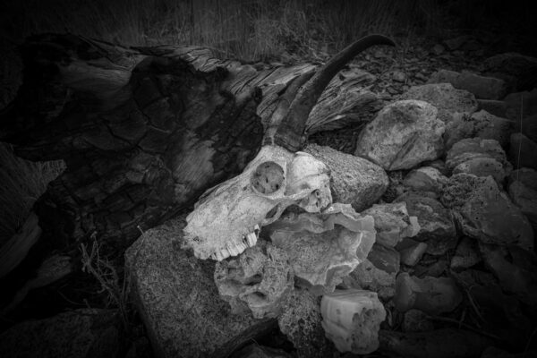 - Image 5 of 5