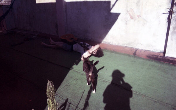  - Image 8 of 8