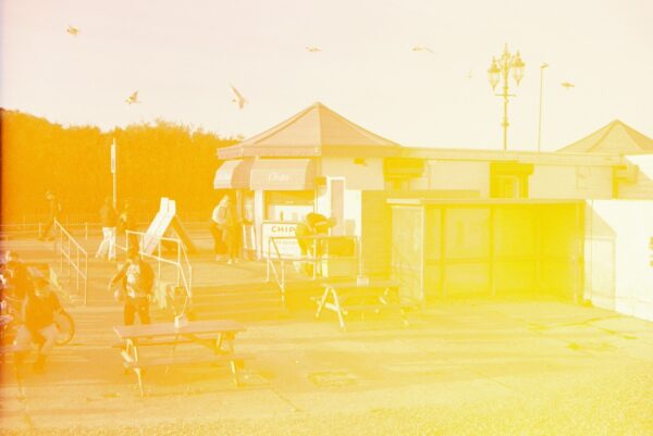 - Image 7 of 8