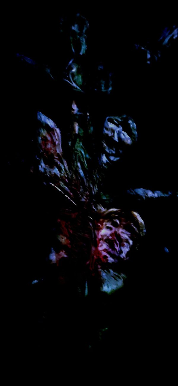  - Image 1 of 4