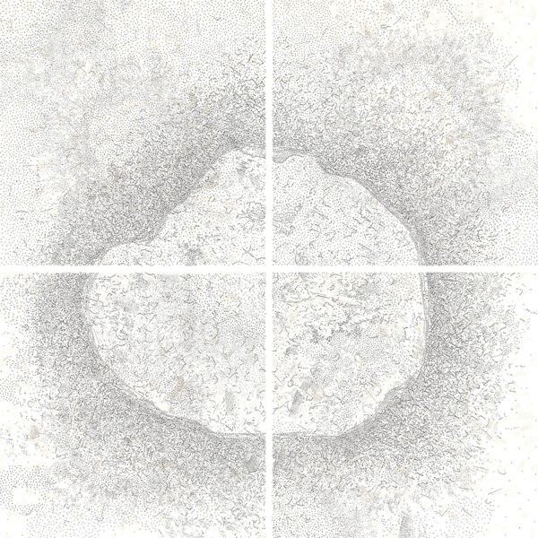  - Image 1 of 8