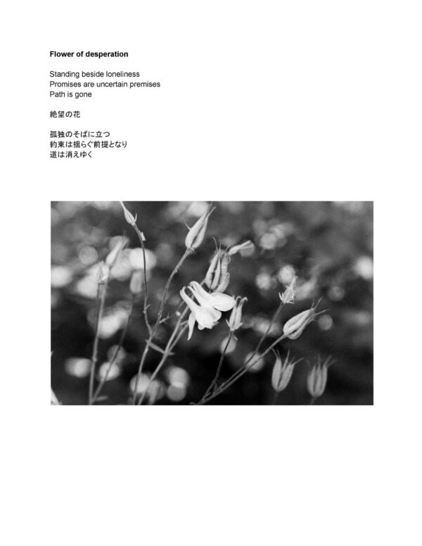  - Image 2 of 5