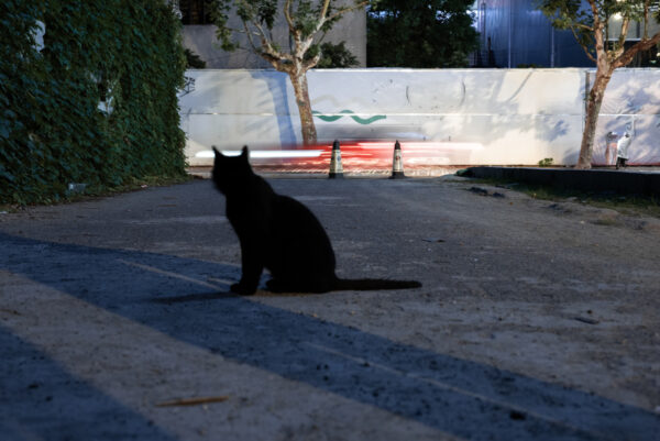  - Image 1 of 3