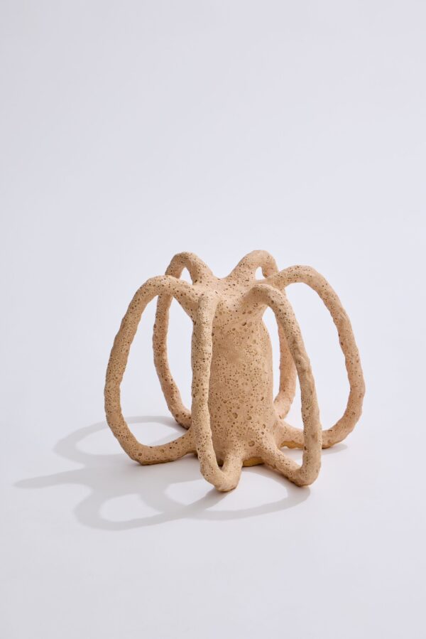  - Image 1 of 8