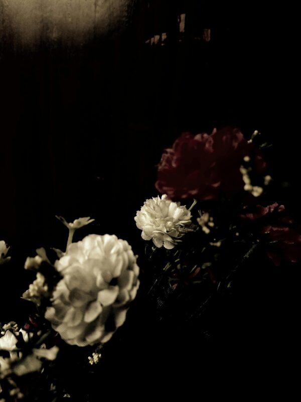  - Image 4 of 8