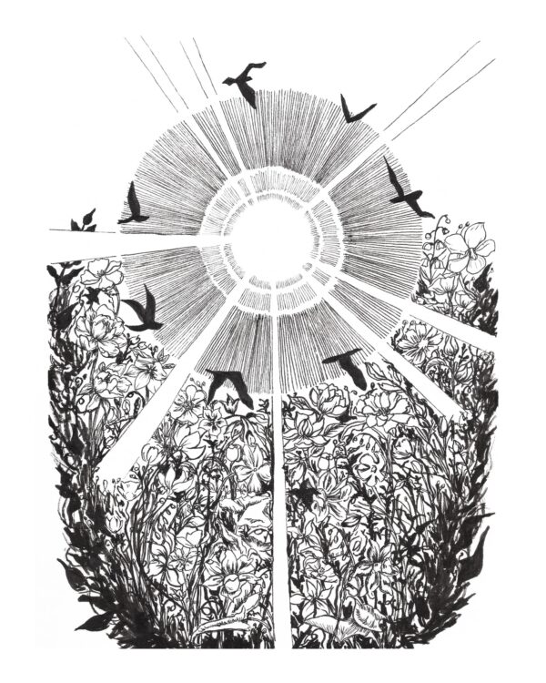  - Image 1 of 6