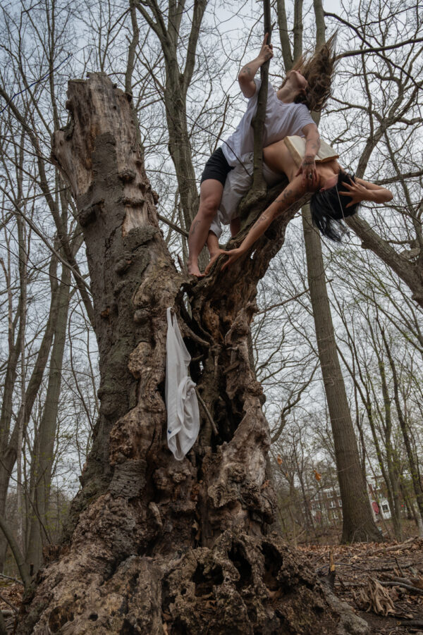  - Image 6 of 8