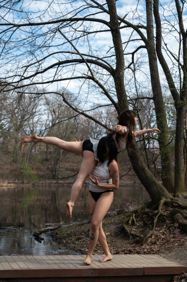  - Image 7 of 8