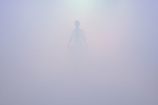  - Image 3 of 8