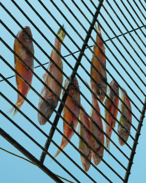  - Image 4 of 8