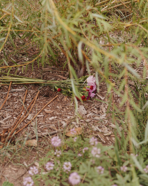  - Image 3 of 8