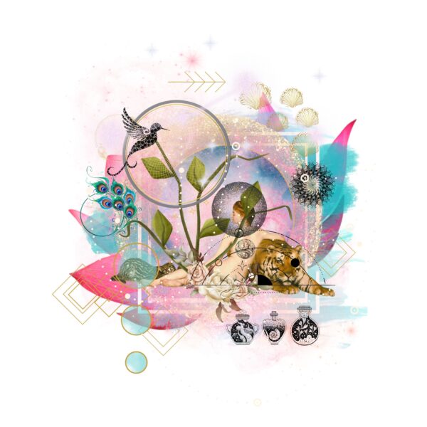  - Image 2 of 8