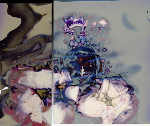  - Image 6 of 8