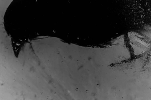  - Image 7 of 8