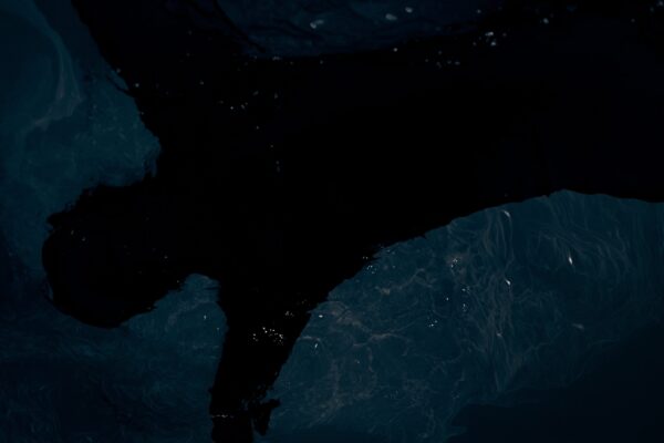  - Image 6 of 8