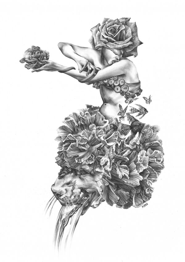  - Image 2 of 3