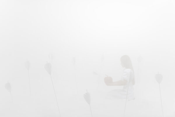  - Image 4 of 8