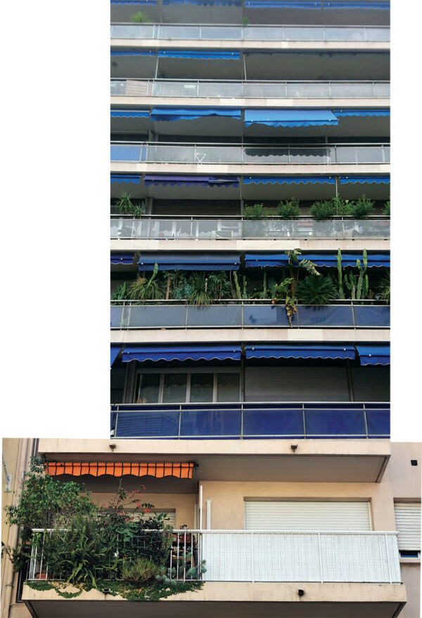 - Image 7 of 8
