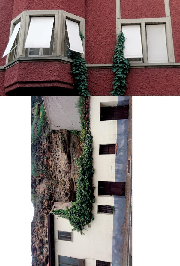  - Image 8 of 8
