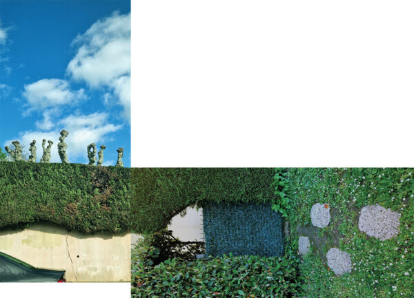  - Image 4 of 8