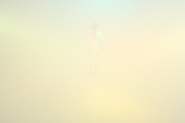  - Image 6 of 8