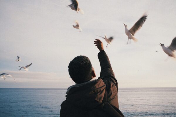  - Image 6 of 8