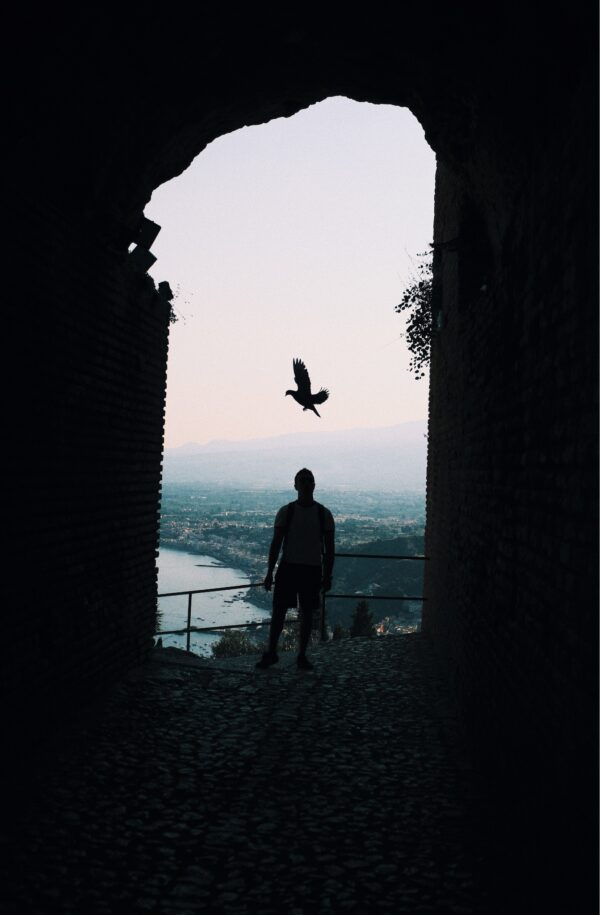 - Image 3 of 8