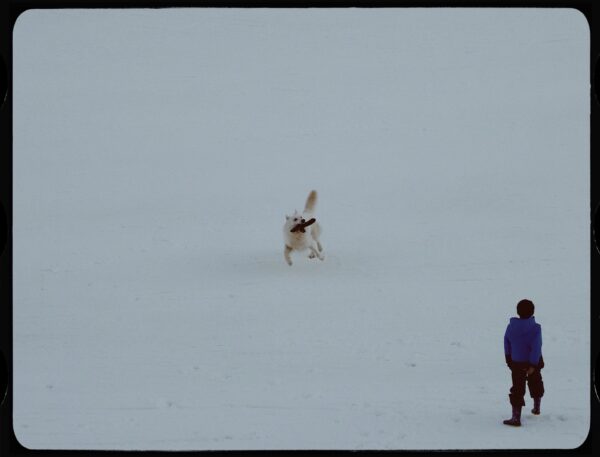  - Image 2 of 8